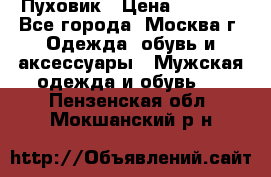 Пуховик › Цена ­ 2 000 - Все города, Москва г. Одежда, обувь и аксессуары » Мужская одежда и обувь   . Пензенская обл.,Мокшанский р-н